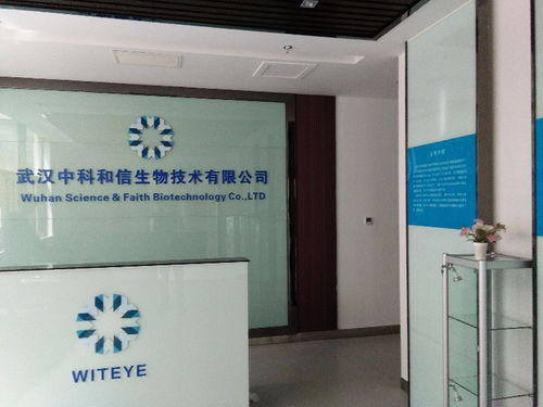 十二年匠心鑄就，專業發光字與廣告牌制作安裝專家——聚焦武漢噴繪招牌與廣告設計